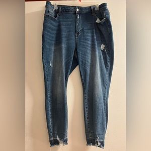 Judy Blue Distressed Skinny Jeans Plus